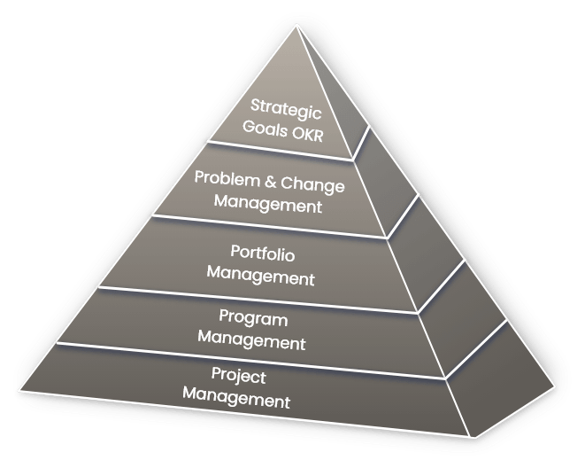Program Portfolio for Service Delivery Management
